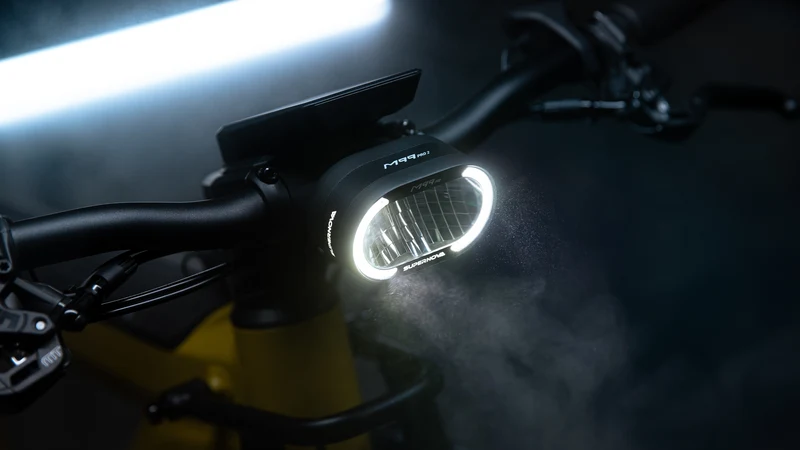 M99 PRO 2 - 25 km/h