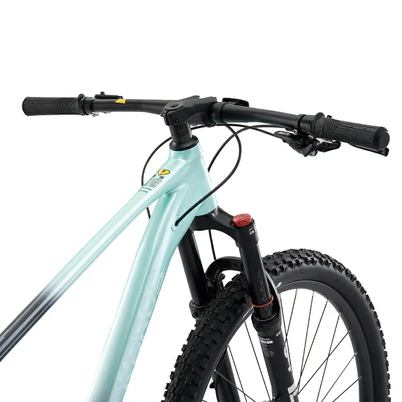 MT600 29 Zoll MTB