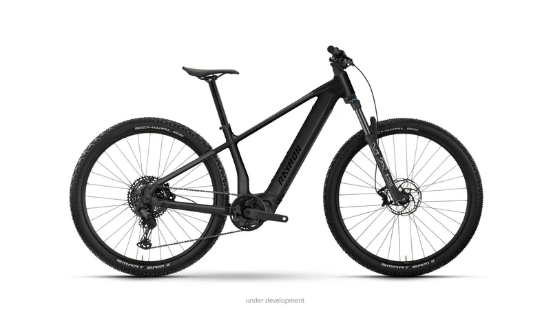 Raymon Zorq Pro 29
