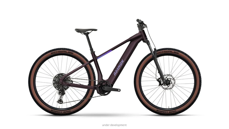 Raymon Zorq Ultimate 27.5
