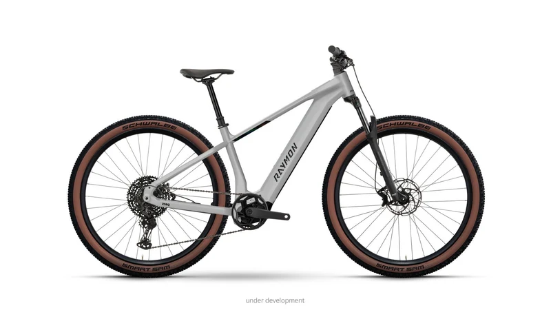 Raymon Zorq Ultimate 27.5