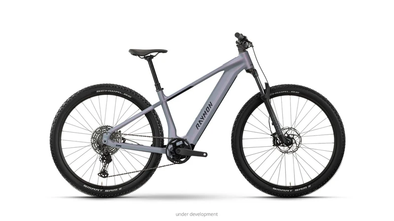 Raymon Zorq Elite 29