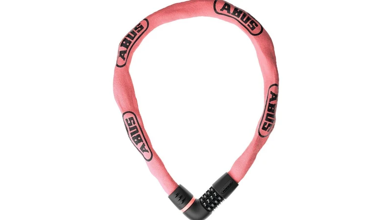 Abus Tresor 6807C/110