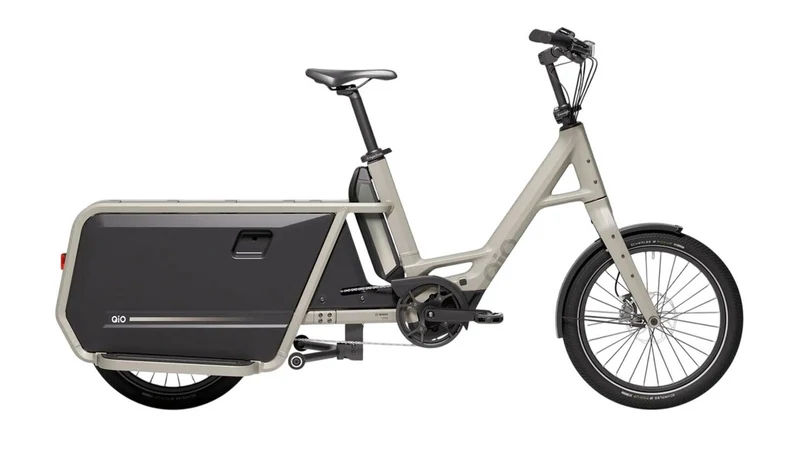 QiO LONG P9