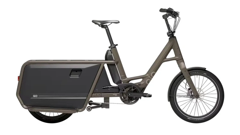 QiO LONG P9