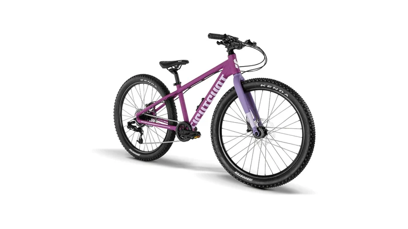 Eightshot X-COADY 24 SL Disc