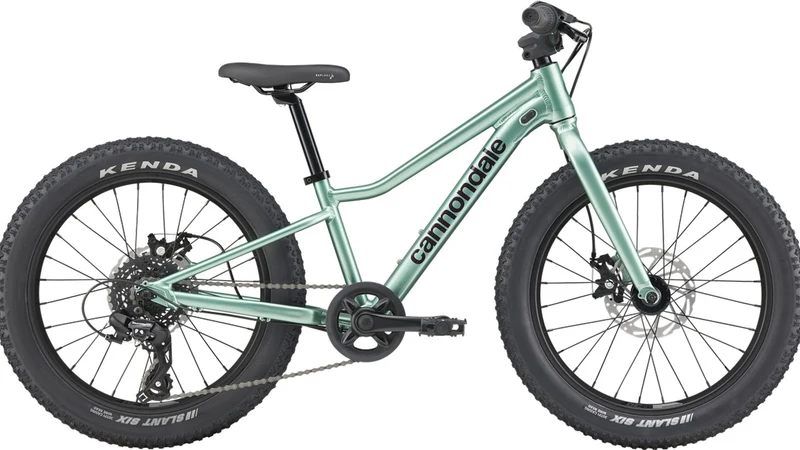 Cannondale Kids Trail Plus 20