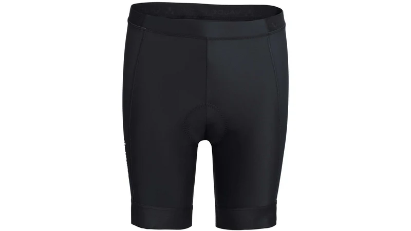 Vaude Men's Advanced Pants IV