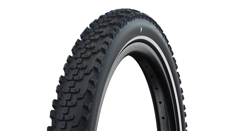 Schwalbe Smart Sam Cargo 20"