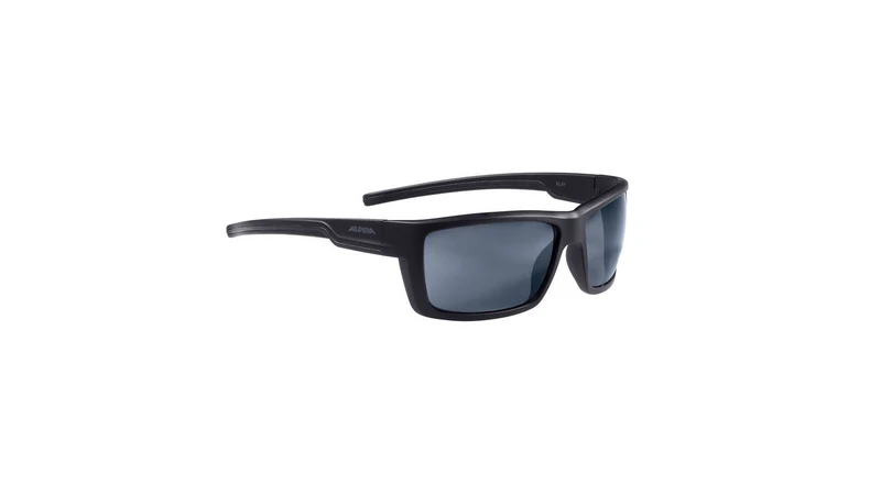 Alpina Slay Fahrradbrille