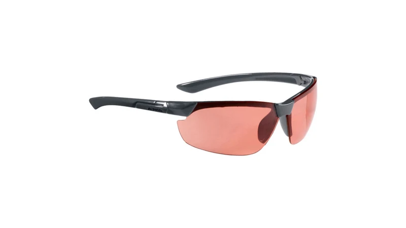 Alpina Draff Fahrradbrille