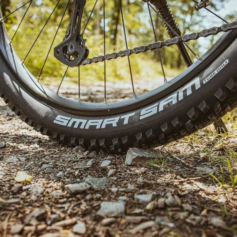 Schwalbe Smart Sam Performance ADDIX Bike Tyre