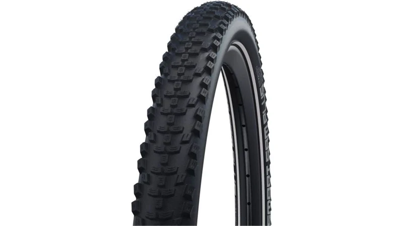 Schwalbe Smart Sam Plus 20"