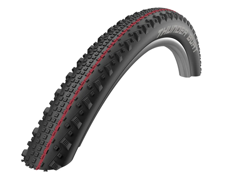Schwalbe Thunder Burt 29 x 2.1" 29 Inch Bike Tyres Addix Speed Tubeless