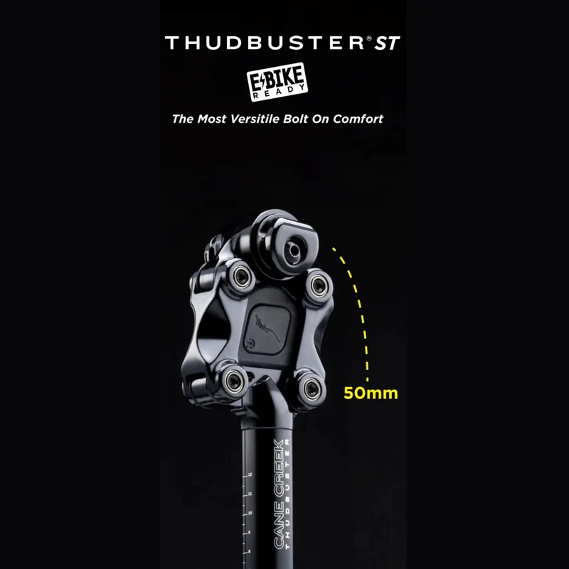 Cane Creek Thudbuster ST Suspension Seatpost 31.6 x 375mm