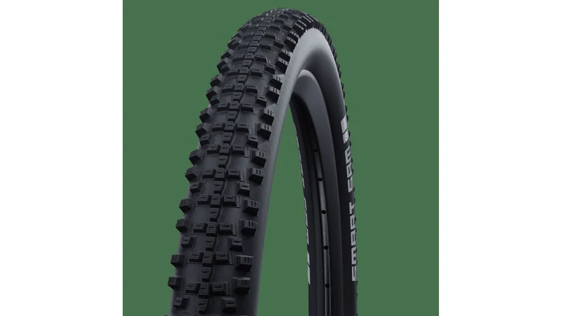 Schwalbe Smart Sam Performance 20"