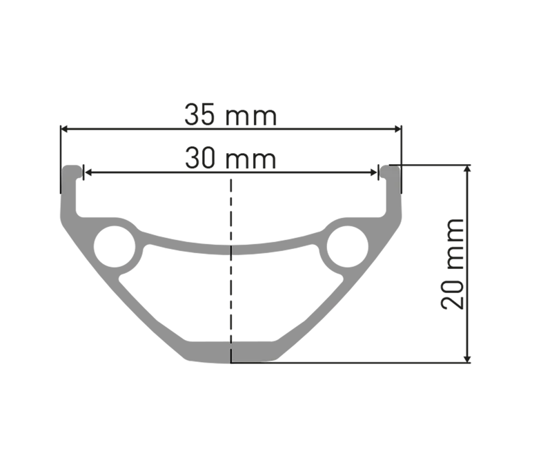 DT Swiss 26", Alu, sw, non disc, 110/20mm TA VR DT Swiss D 1900 Classic 26"/30mm