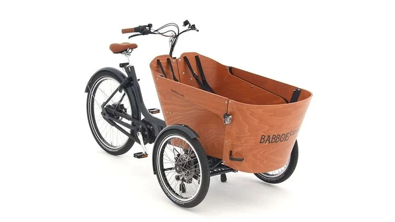 Babboe Carve Mountain 500Wh