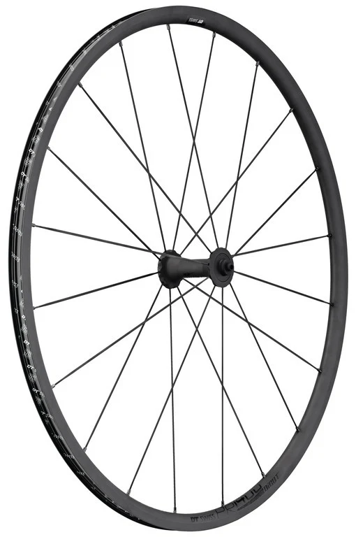 DT Swiss VR PR 1400 Dicut 21 Oxic 28"/18 Alu, schwarz, 100/5mm QR