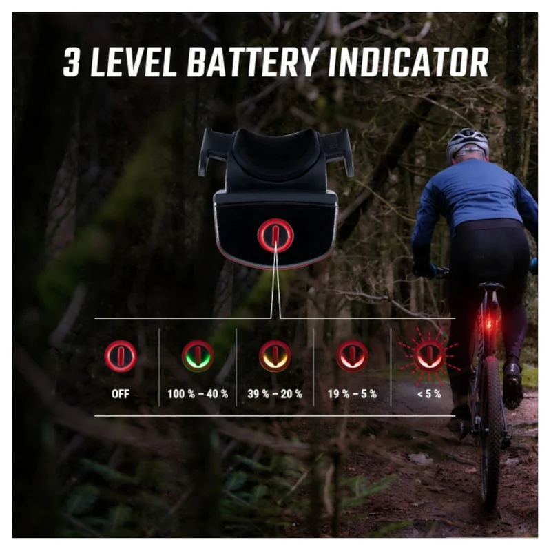 Sigma Buster RL80 Rear Bike Light