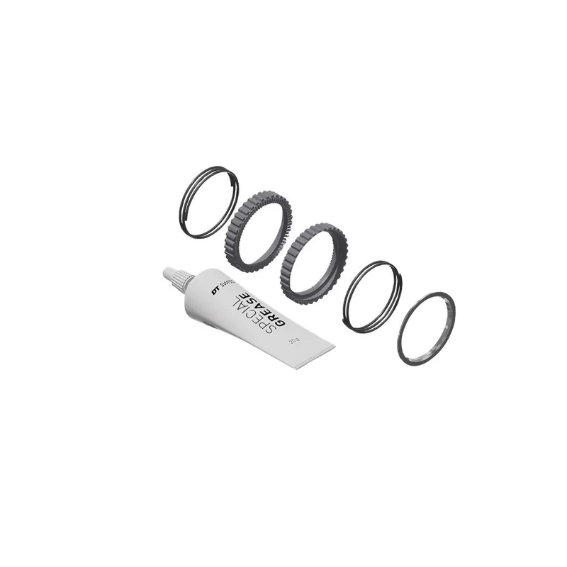 DT Swiss Ratchet DEG, 72T, ohne Werkzeug Service Kit DT Swiss HR-Nabe