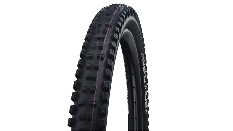 Schwalbe Tacky Chan 29 Zoll