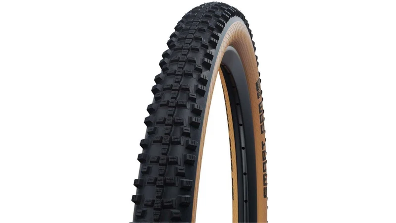 Schwalbe Smart Sam Perf. RG 29