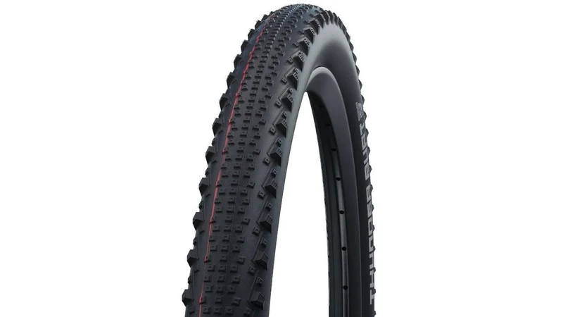 Schwalbe Thunder Burt Evo SGR 29
