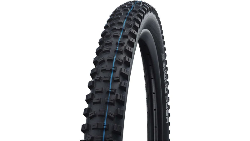 Schwalbe Hans Dampf Evo ST 29