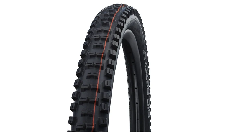 Schwalbe Big Betty Evo ST 29
