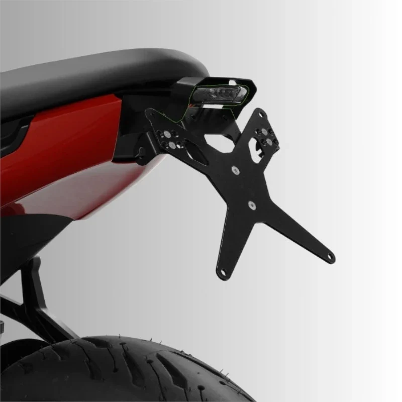 Kennzeichenhalter & Rücklicht Zieger X-Line – Triumph Trident 660 2021-2026