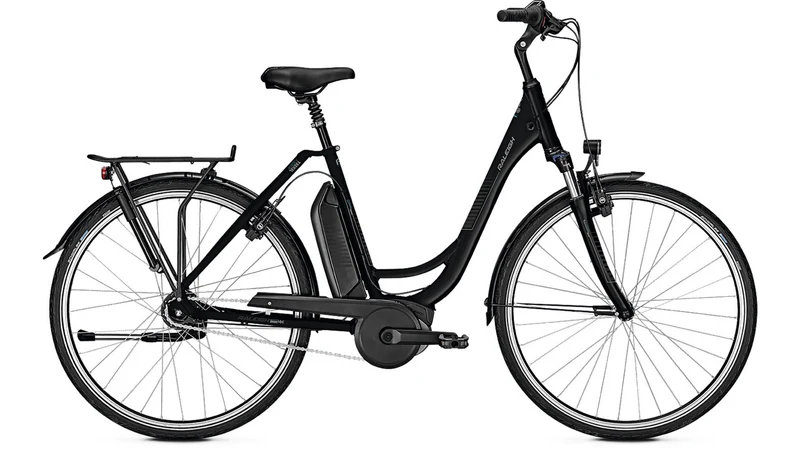 Raleigh Jersey 7 8,2 Ah FL