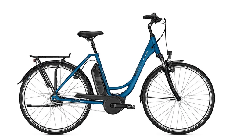 Raleigh Jersey 7 8,2 Ah FL