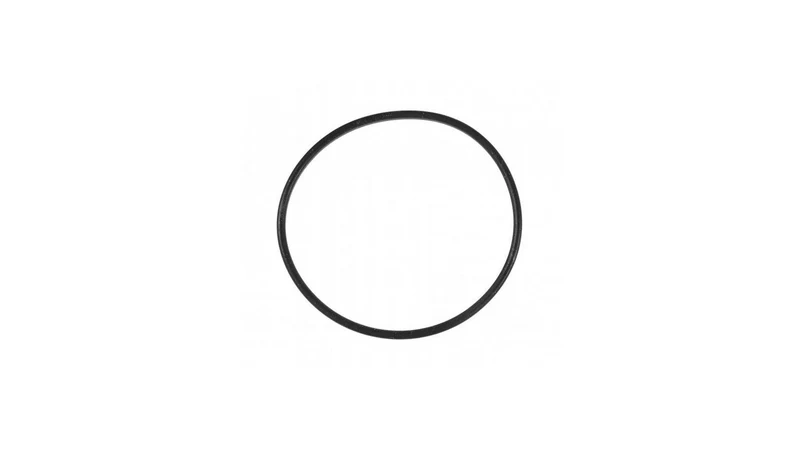 Bosch O-Ring