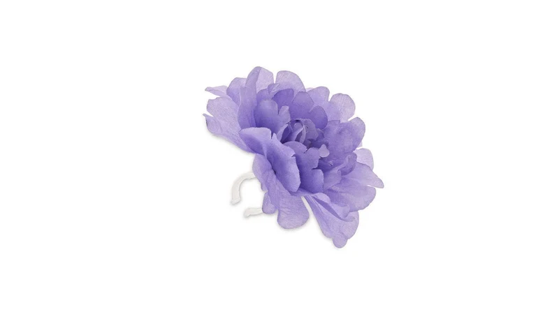 Basil Lenkerblume Flower Peony
