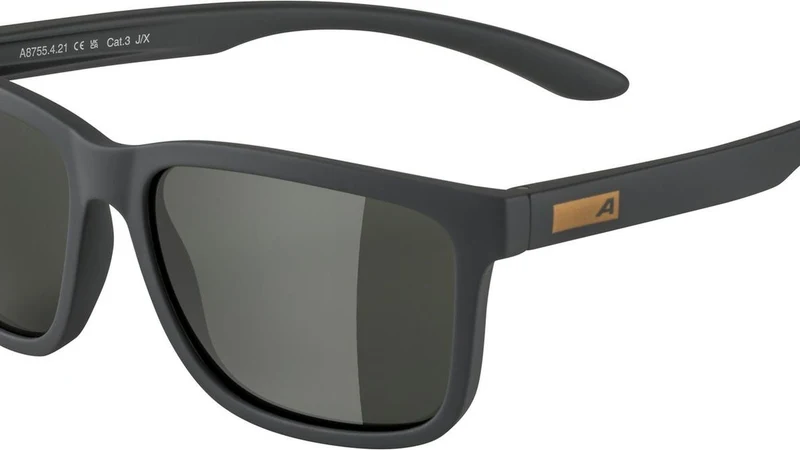 Alpina Burst Fahrradbrille